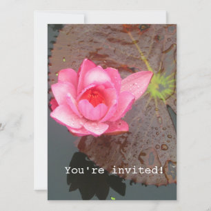 invitation vierge de fleur de nénuphar rose