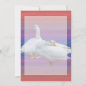 invitation vierge, tous usages (Devant)