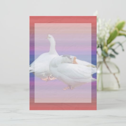 invitation vierge, tous usages (Debout devant)