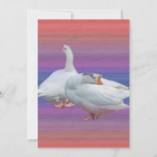 invitation vierge, tous usages (Dos)