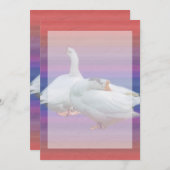 invitation vierge, tous usages (Devant / Derrière)