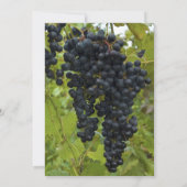 Invitation Vignoble thème Mariage (Dos)