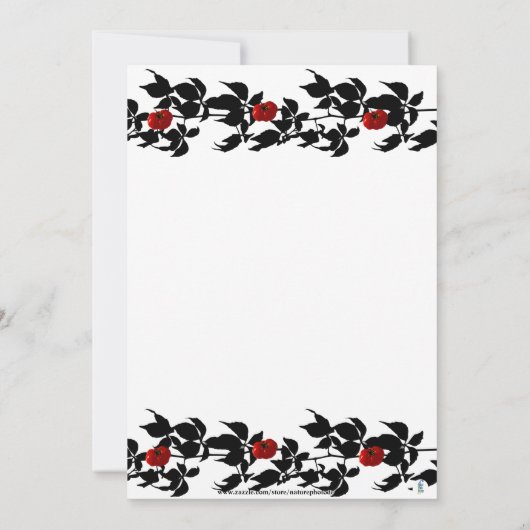 INVITATION VINE TOMATO GARDEN PARTY HEUREUSE ANNIVERSAIRE INV (Dos)