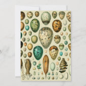 Invitation Vintage Bird Eggs French Fish Egg (Dos)