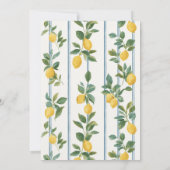 Invitation Vintage lemons Baby Shower (Dos)