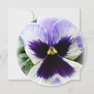 Invitation violet profond sur blanc