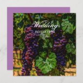 Invitation viticulture romantique violet raisins vigne mariag (Devant / Derrière)