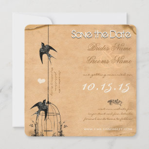 Invitation Votre Photo Cage à Oiseaux en Damas Mariage Économ