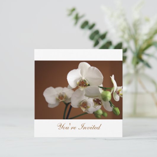 Invitation Vous êtes invité (Debout devant)