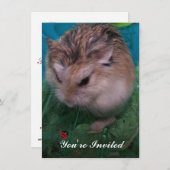 Invitation Vous êtes invité (Devant / Derrière)