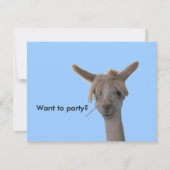 Invitation - Vous voulez faire la fête ? (Devant)