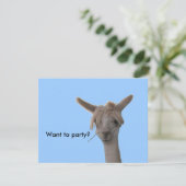 Invitation - Vous voulez faire la fête ? (Debout devant)