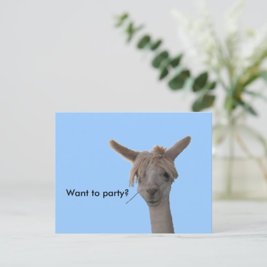 Invitation - Vous voulez faire la fête ? (Debout devant)