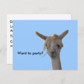 Invitation - Vous voulez faire la fête ? (Devant / Derrière)