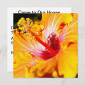 Invitation Vue latérale de l'Hibiscus orange (Devant / Derrière)