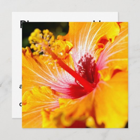 Invitation Vue latérale de l'Hibiscus orange (Devant / Derrière)