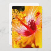 Invitation Vue latérale de l'Hibiscus orange (Devant / Derrière)