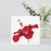 Invitation Vue latérale de l'Hibiscus rouge (Debout devant)