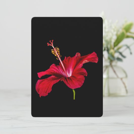 Invitation Vue latérale de l'Hibiscus rouge (Debout devant)