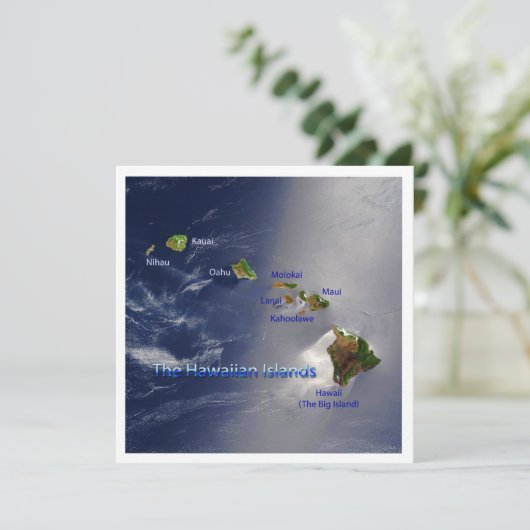 Invitation Vue sur les îles Hawaiiennes (Debout devant)