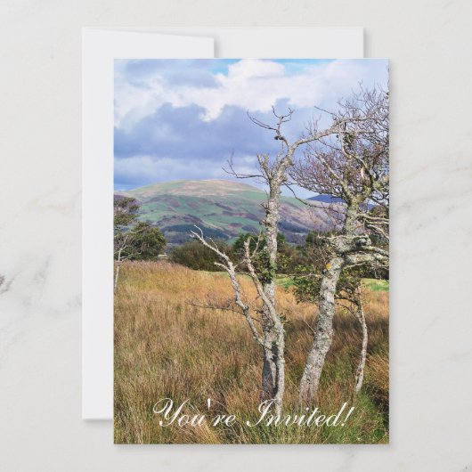 INVITATION VUES DES ALLES (Devant)