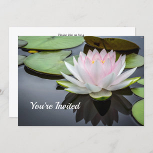 Invitation Water Lily rose Floral Fête des mariées photo