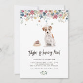 Invitation Watercolor Wire Haig Jack Russell Chien Anniversai (Devant)