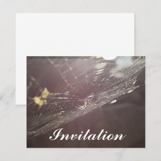 Invitation web de Charlotte (Devant / Derrière)