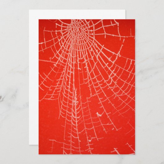 Invitation Web des araignées (Devant / Derrière)