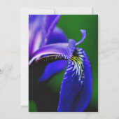 Invitation Wedding shower de la marée de Blue Iris (Dos)