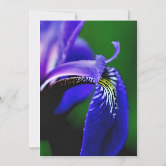 Invitation Wedding shower de la marée de Blue Iris (Dos)