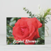 Invitation Wedding shower de la Red Rose (Debout devant)