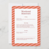 Invitation Week-end d'enterrement de vie de jeune fille disco (Dos)