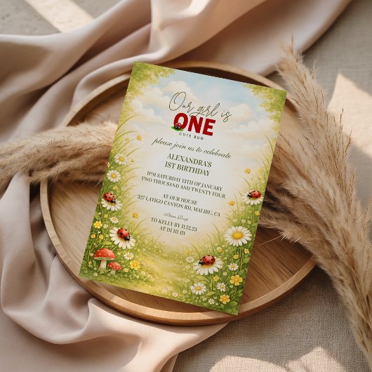 Invitation Whimsical Garden Lady Bug 1st Birthday