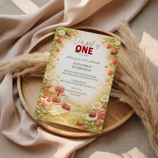 Invitation Whimsical Meadow Lady Bug 1st Birthday