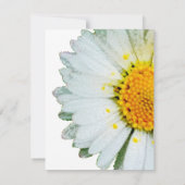 Invitation White Daisy Celebration of Life Card (Dos)