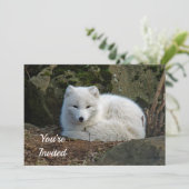 Invitation White Fox Photo Anniversaire (Debout devant)
