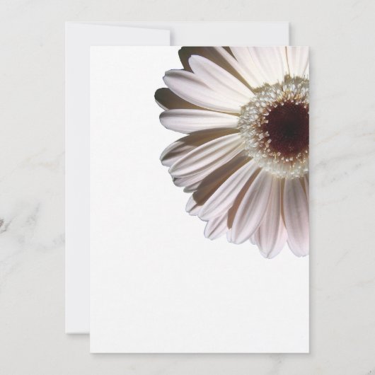 Invitation White Gerbera Mariage Daisy (Dos)