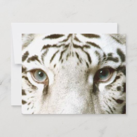 Invitation White Tiger Feng Shui ~ Personnaliser E (Devant)