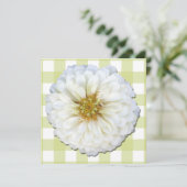 Invitation - White Zinnia (Debout devant)