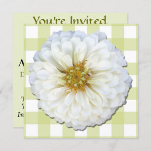 Invitation - White Zinnia