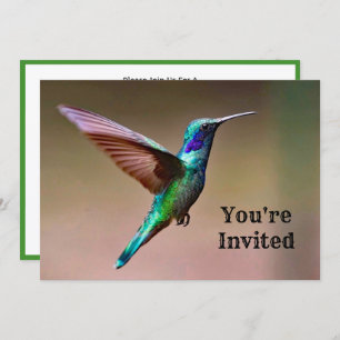 Invitation Wildlife Green Hummingbird Photo Anniversaire