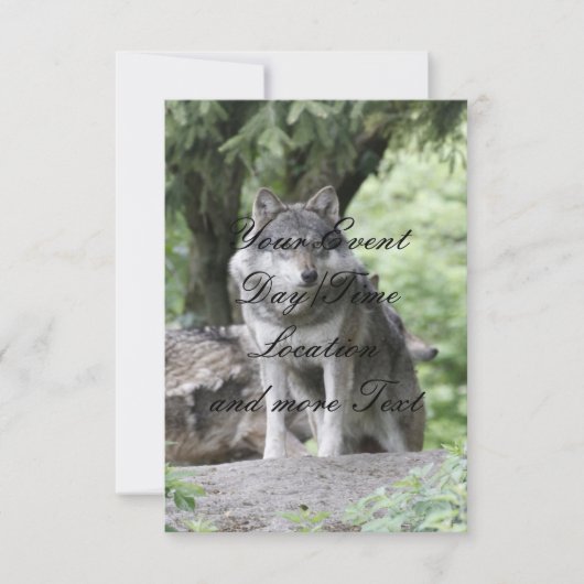 Invitation Wolf 14AJ (Devant)