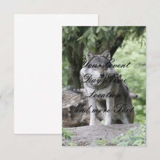 Invitation Wolf 14AJ (Devant / Derrière)