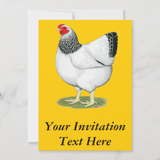 Invitation Wyandotte : Colon Hen (Devant)