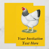 Invitation Wyandotte : Colon Hen (Devant / Derrière)