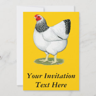 Invitation Wyandotte : Colon Hen