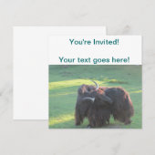 Invitation Yaks (Devant / Derrière)