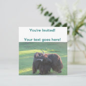 Invitation Yaks (Debout devant)