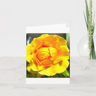 Invitation Yellow Rose Greeting Card